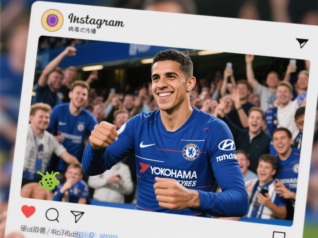 迷和内部矛 迷和内部矛